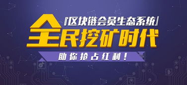 深圳开发'狼来了'静态分红模式软件的费用构成与解析